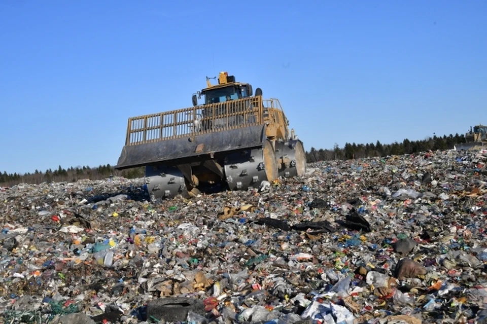 От мусора необходимо очистить 27,2 гектаров