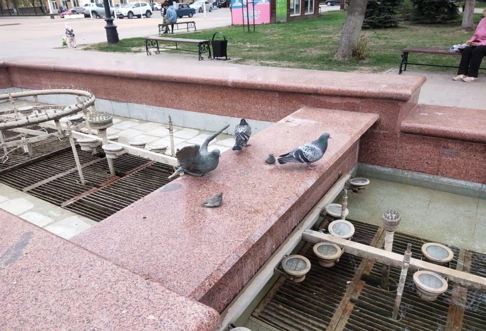 Куда именно пропали фигурки, рассказали в городской управе.