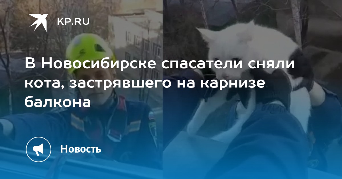 Как снять кота с балкона