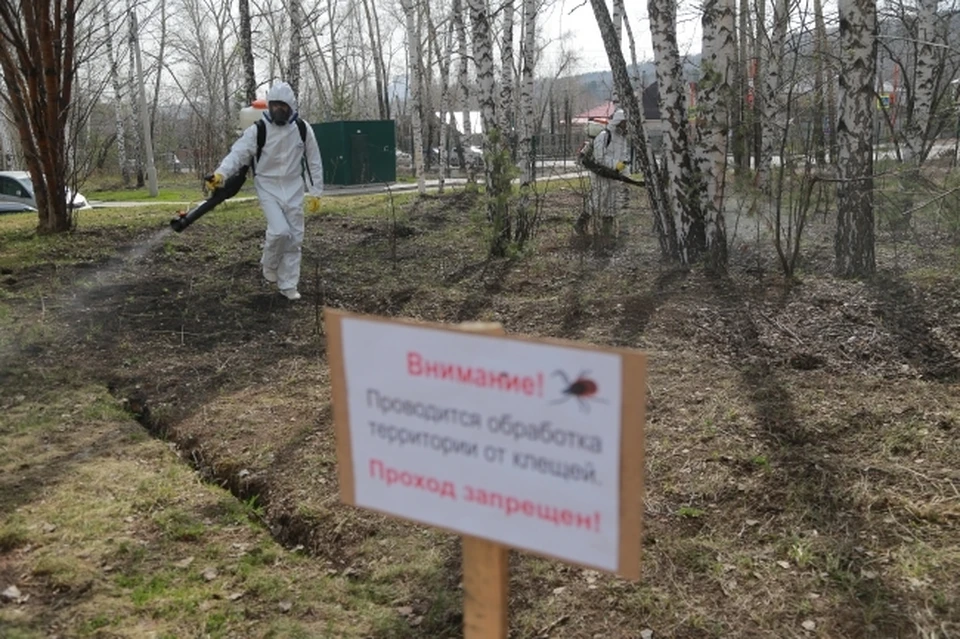 Подобные случаи уже выявлены в 46 районах региона.