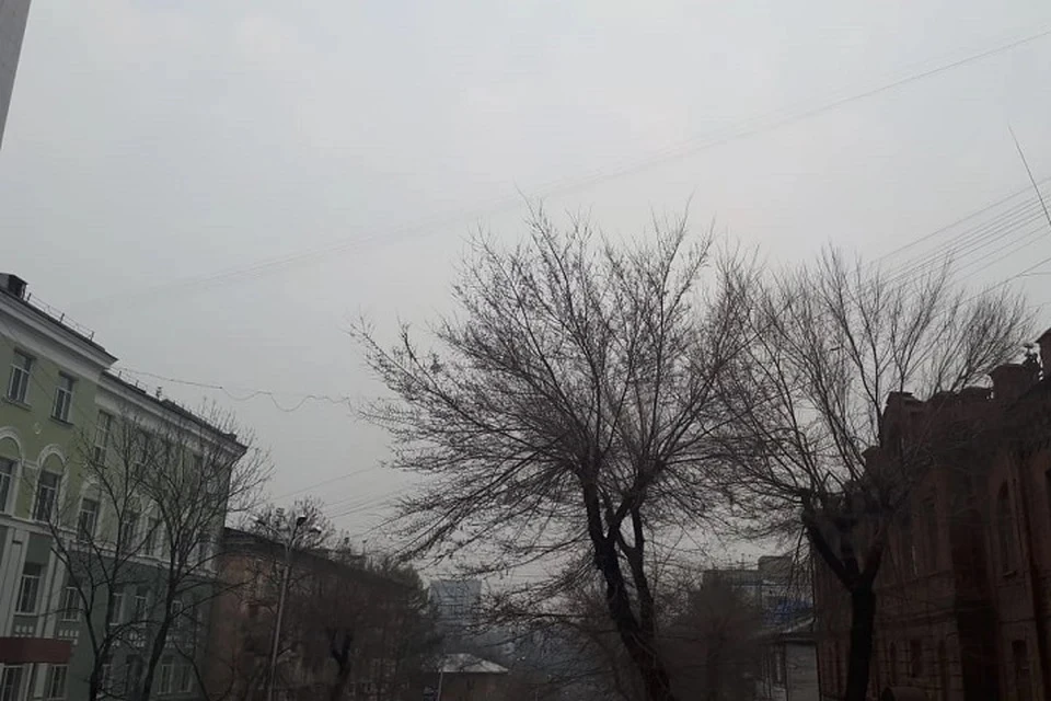 Облачная погода и до 10 градусов тепла ожидают в Москве 7 мая