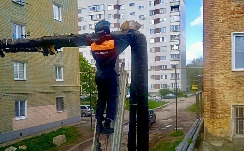 Фото: Управление гражданской защиты.