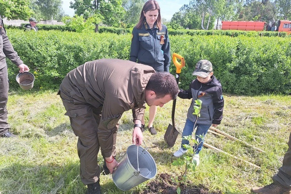 Этот тополь является ростком дерева, которое выжило в Сталинградской битве. ФОТО: t.me/government_lnr