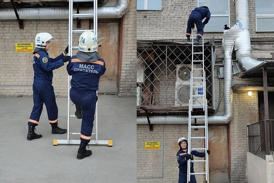 В Новосибирске спасатели помогли кошке, застрявшей на крыше. Фото: спасатели МАСС