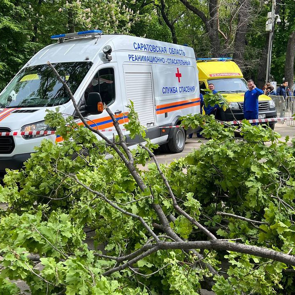 В Саратове из-за рухнувшего в Горпарке дерева погибли 80-летняя женщина и  ребенок - KP.RU