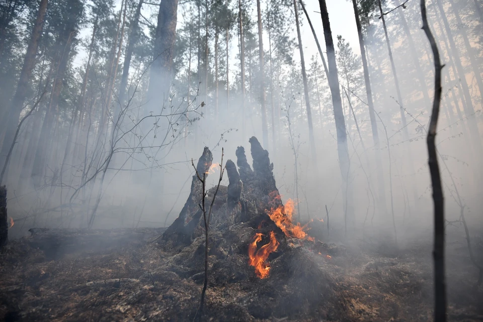 В Свердловской области сейчас горит 50,7 тысяч гектаров леса
