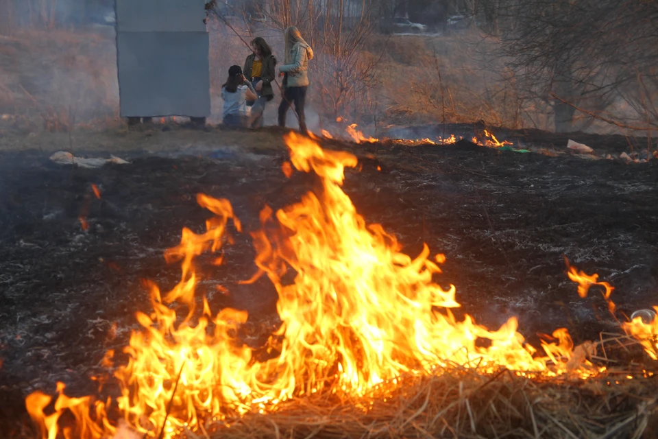 Уровень пожароопасности оказался не так высок, однако костры на природе по-прежнему могут привести к большому возгоранию.