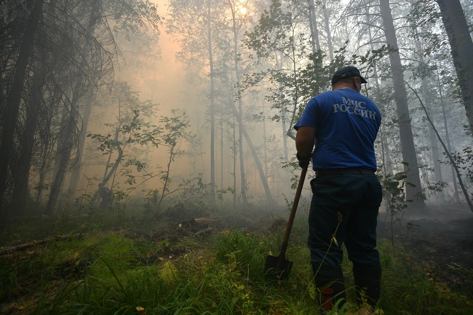 Непотушенными остаются 19 лесных пожаров