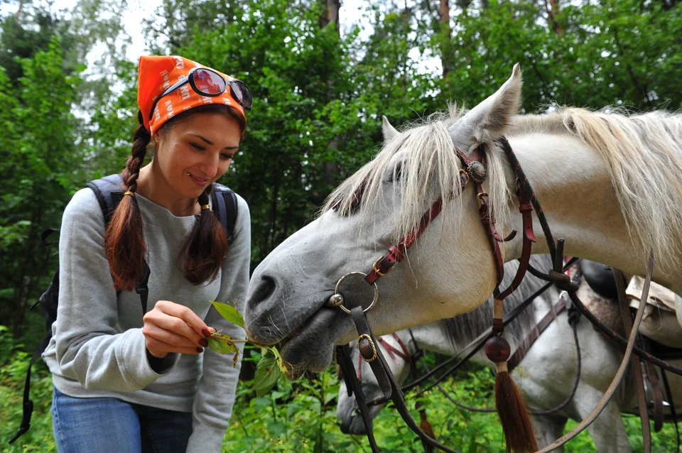 Общение с лошадками - один из верных способов избавиться от стресса и обрести гармонию