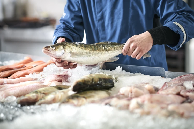 ВЦИОМ и ВАРПЭ представят анализ потребления рыбы в России на «Неделе российского ритейла»