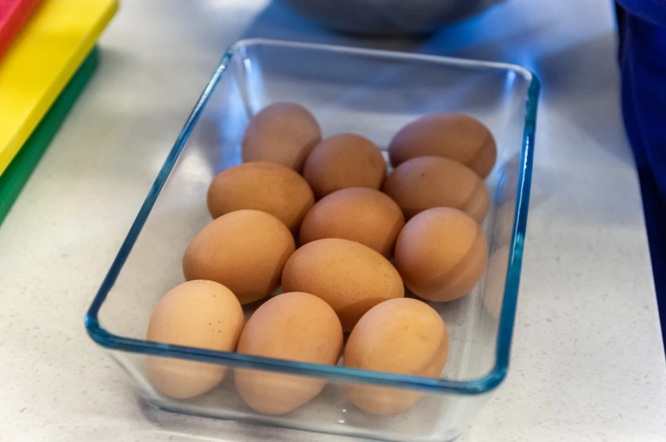 Ленобласть начнет поставлять свежие куриные яйца в Африку.