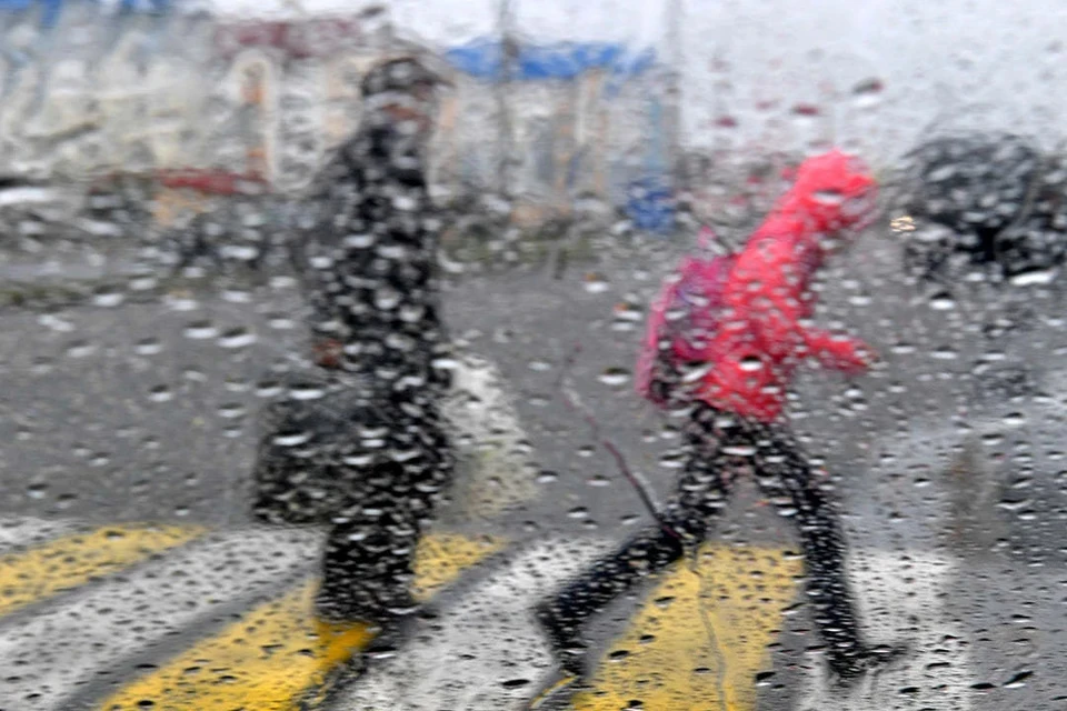 Автомобилистов призвали быть осторожными и внимательными на дорогах во время дождя