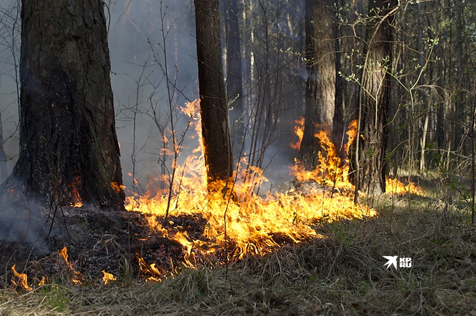В Свердловской области продолжает гореть лес