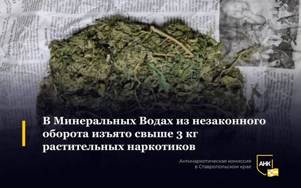 Фото: пресс-служба антинаркотической комиссии Ставропольского края