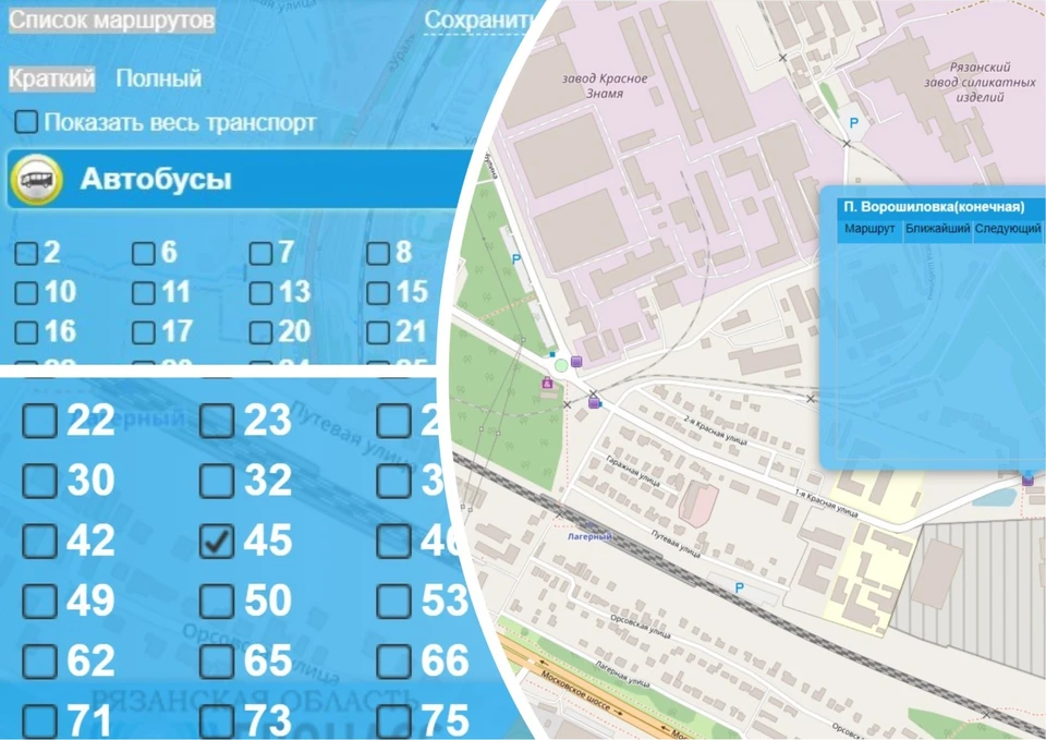 По данным regionbus62.ru, ни одного автобуса на маршруте №45 нет.