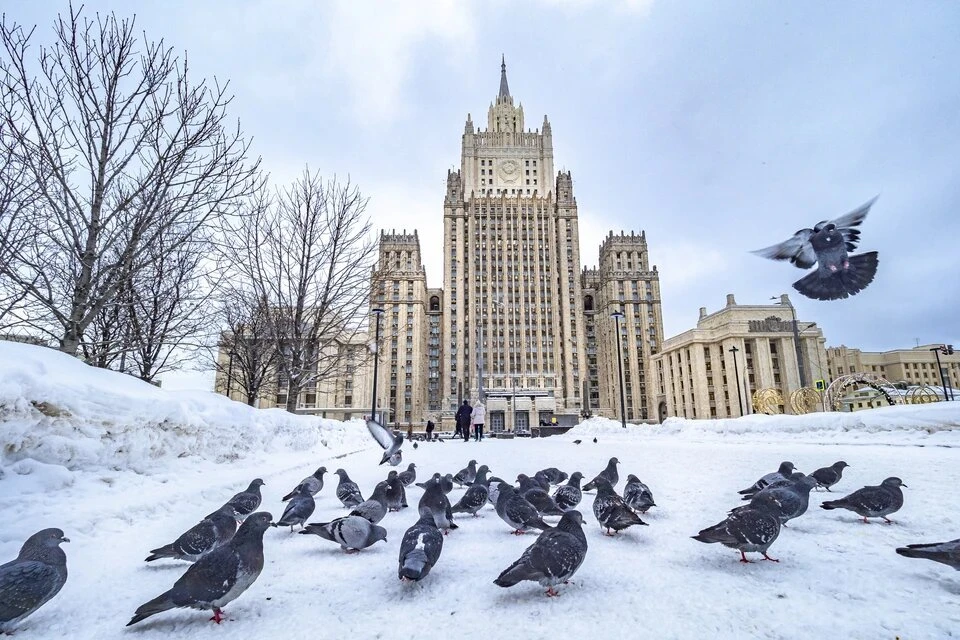 Посольство России порекомендовало шведскому эксперту и Украине не повторять битву при Нарве