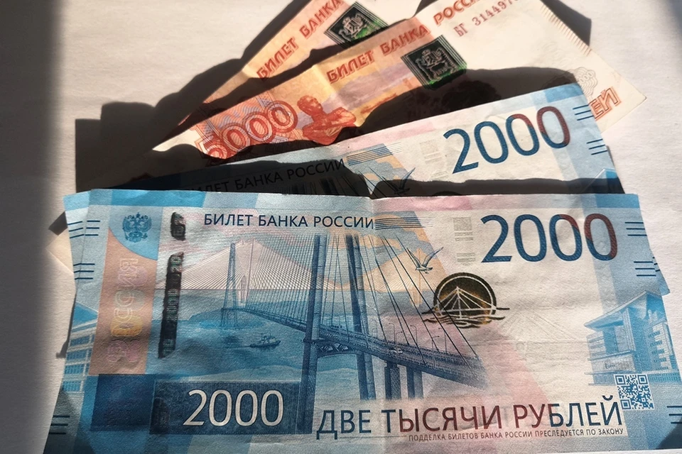В Липецкой области участились обращений по поводу мошенников, которые берут займы по чужим паспортам