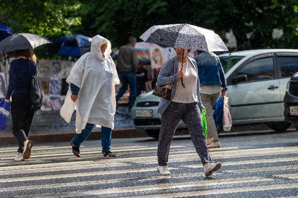 В Ярославле на этой неделе ожидается дождливая погода.