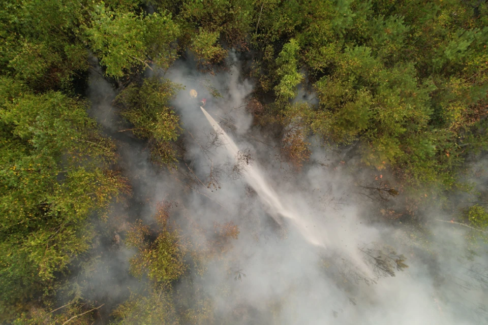 С начала года в регионе произошло более 30 лесных пожаров.