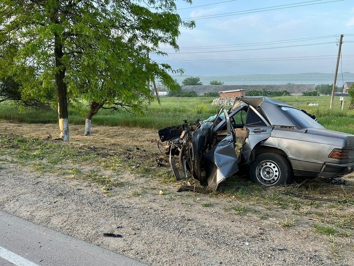 В Крыму на трассе из Керчи Mercedes врезался в дерево, водитель не выжил -  KP.RU