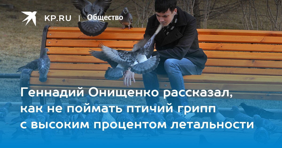 Геннадий Онищенко рассказал, как не поймать птичий грипп с высоким процентом летальности