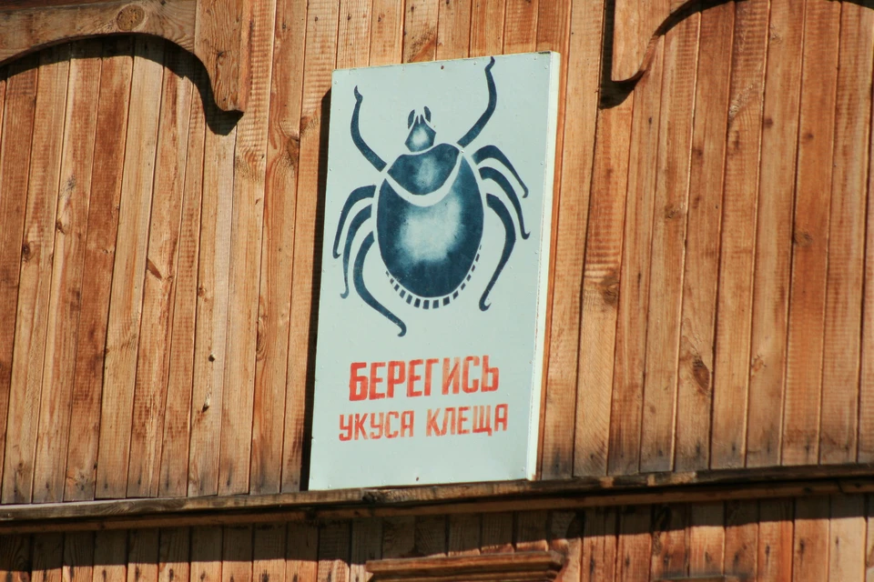 На сегодня в стационарах находятся семь больных с подозрением на энцефалит