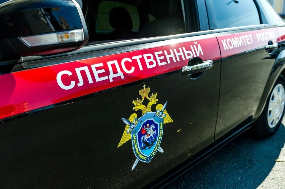 В причинах смерти девочки разбираются следователи.