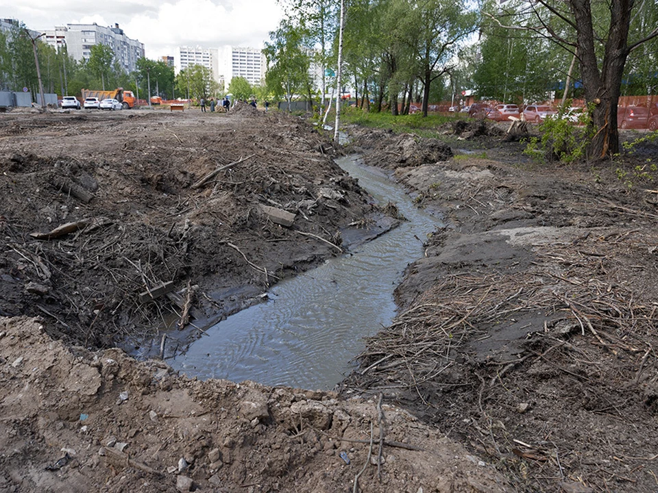 Во время встречи, ее участники смогут задать вопросы экспертам и предложить свои идеи. Фото: Марат Мугинов с сайта kzn.ru