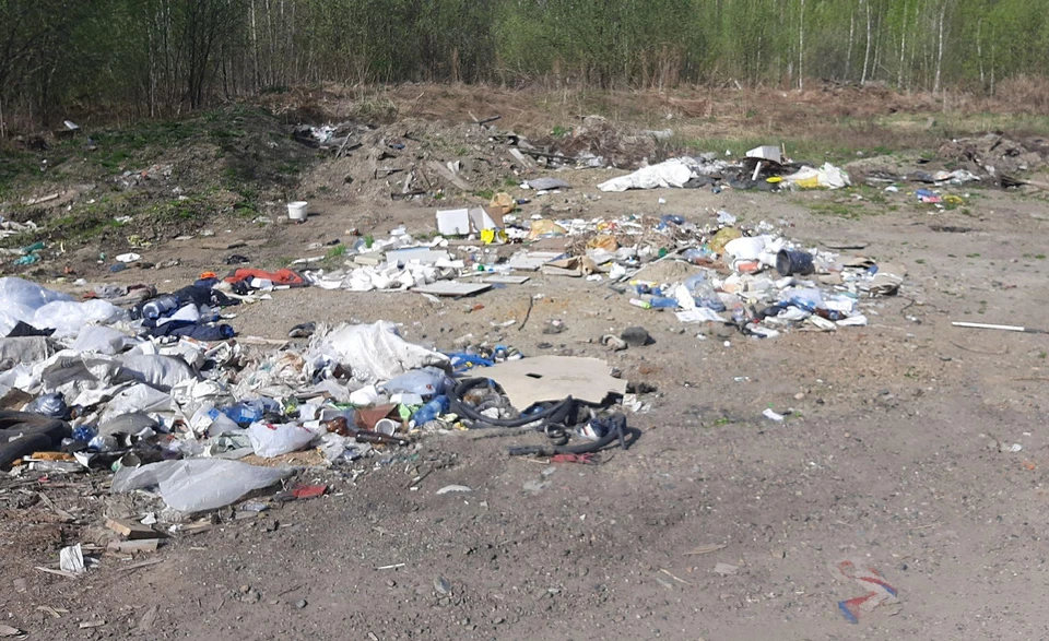 Фото: Управление Россельхознадзора по Новосибирской и Томской областям