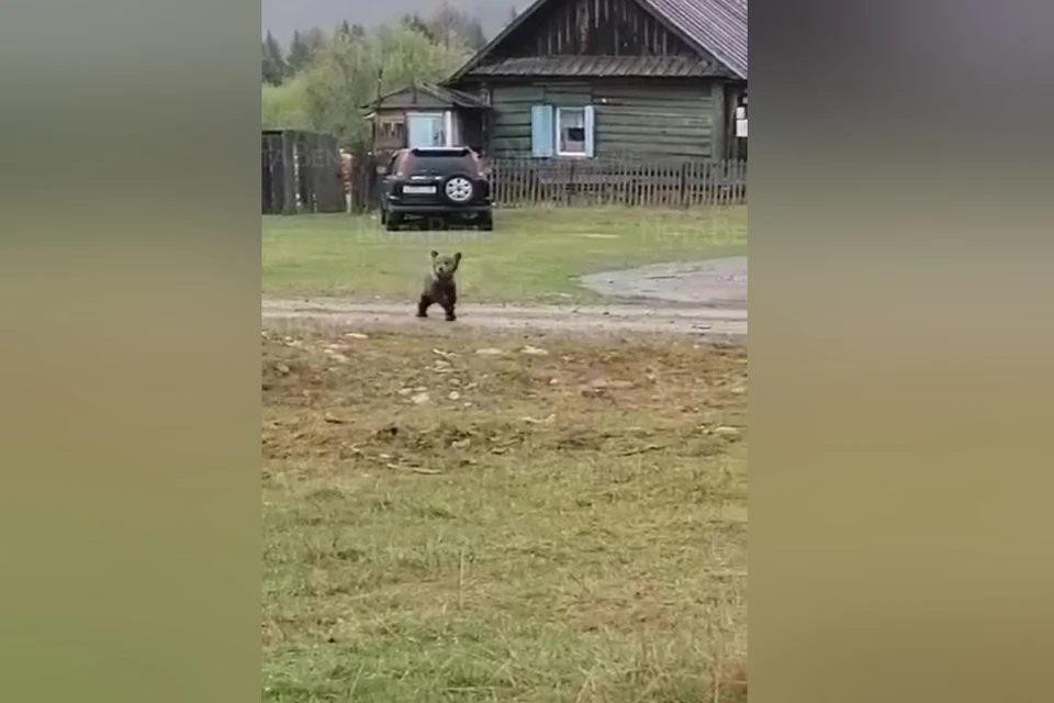 Фото и видео: NotaBene