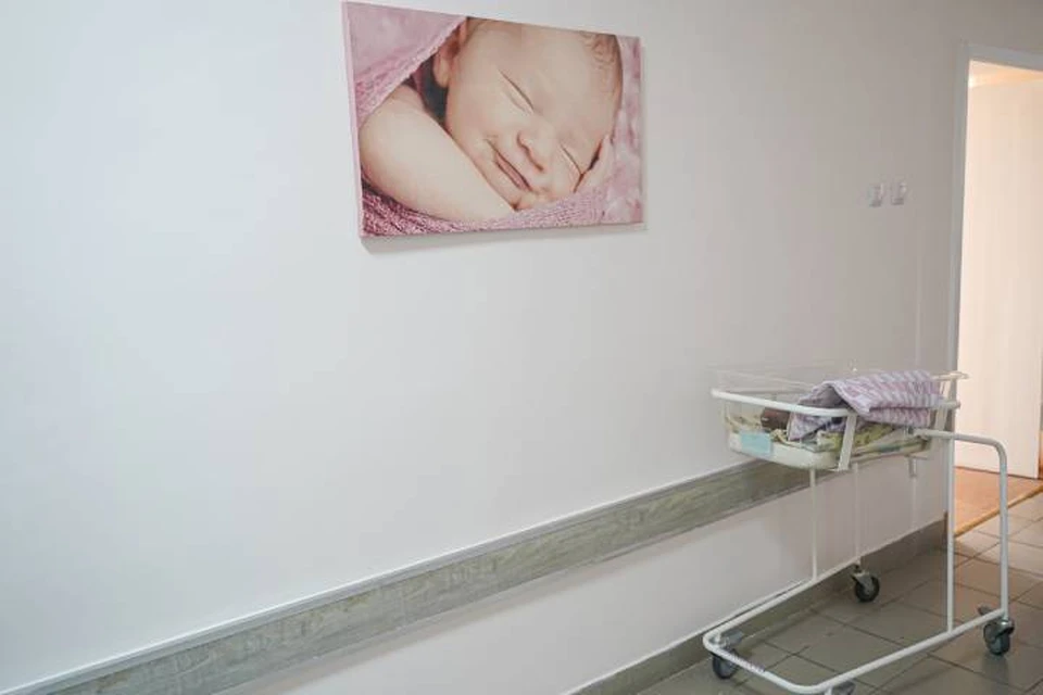 795 детей Иркутской области с начала года зарегистрировали через сервис «Рождение ребенка»