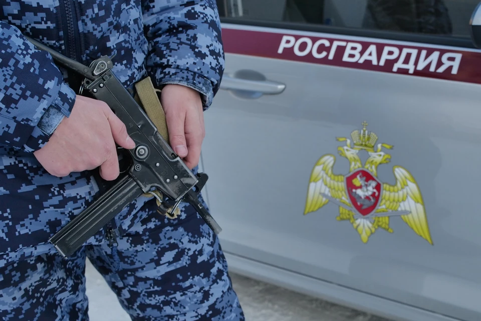 В отделы полиции доставили 285 человек.