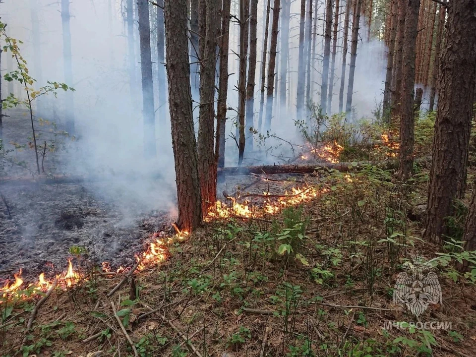 Фото: МЧС Удмуртии