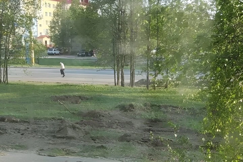 Фото: соцсети