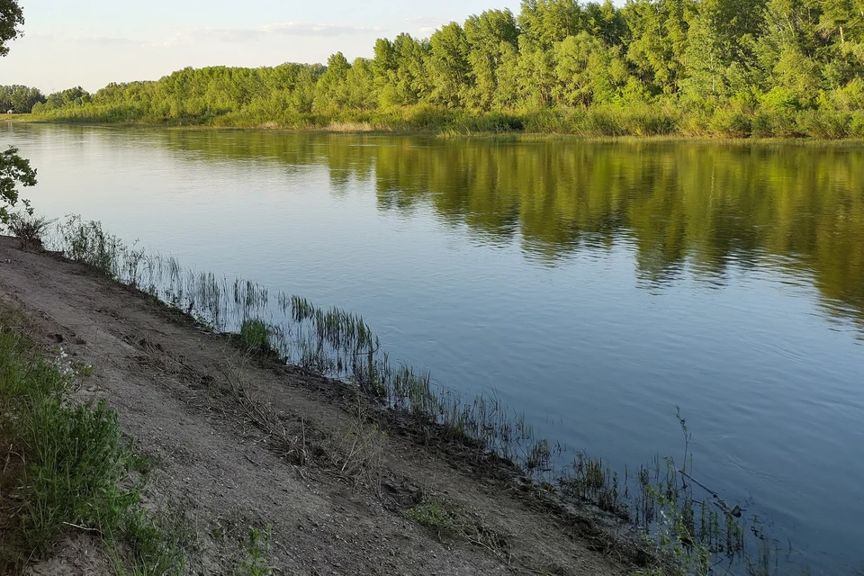 Было отобрано 218 проб воды водоемов и 155 проб песка на санитарно-химические показатели.