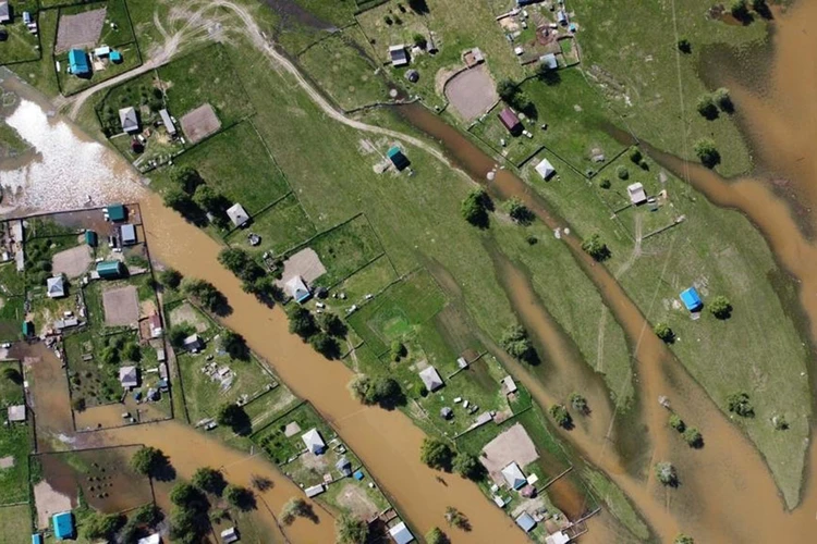 Почти 50 приусадебных участков подтопило в результате паводка на Алтае
