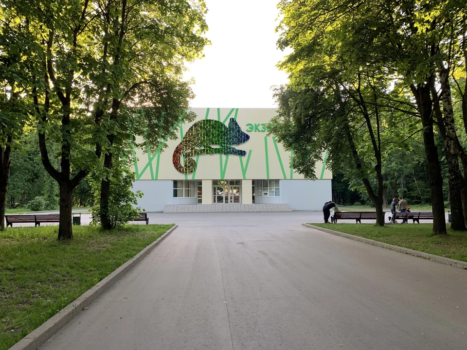 Новый проект «Зеленый лекторий» стартует в День России в тульском экзотариуме