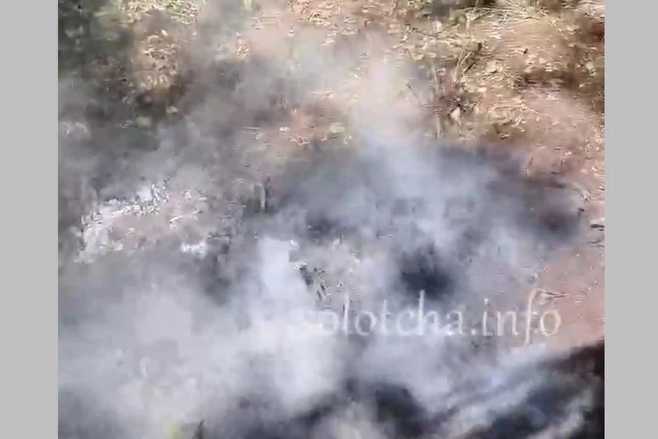 У Сегденского озера под Рязанью произошел торфяной пожар.