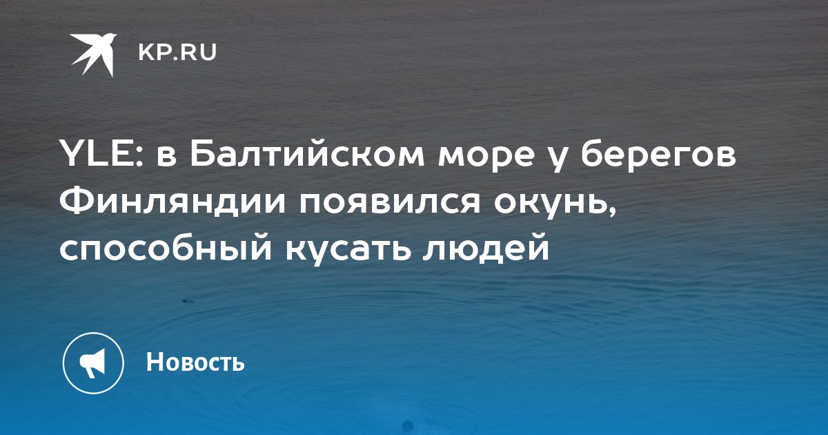 Рыбы в балтийском море