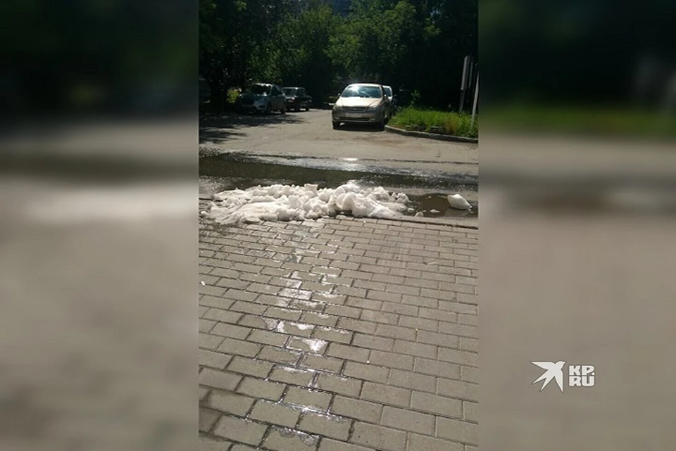 Фото: читатель КП