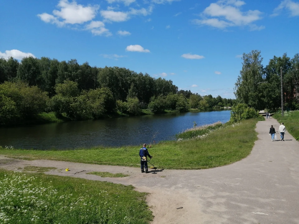 Парк берендеевка в костроме