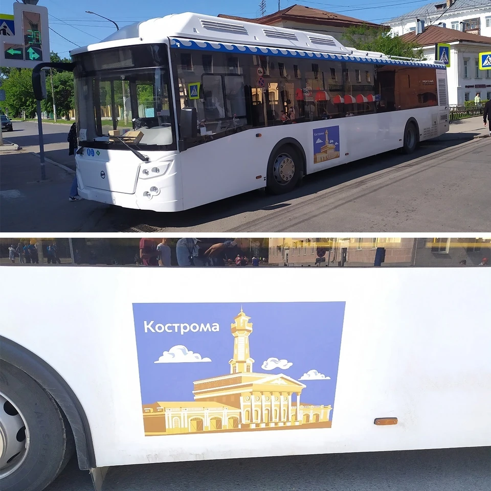 Костромские «ценители» в очередной раз раскритиковали дизайн новых  автобусов - KP.RU