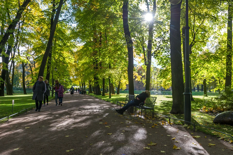 Удельный парк трасса. Удельный парк Скобелевский. Удельный парк фото. Парки Выборгского района Санкт-Петербурга.