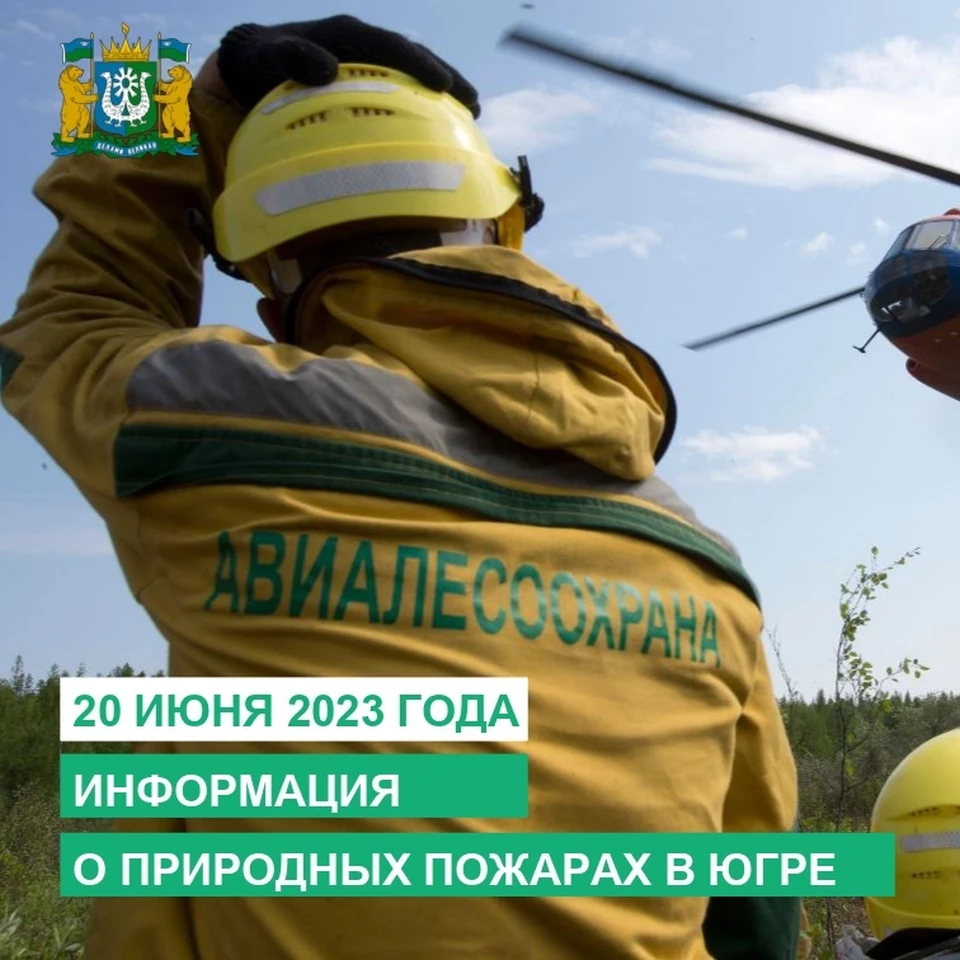 Фото: департамент недропользования и природных ресурсов Югры