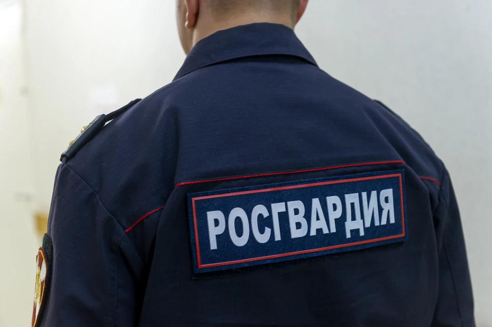 Хулигана поймали сотрудники Росгвардии.