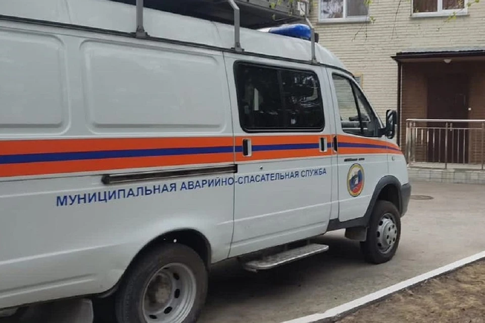 В Новосибирске два трехлетних мальчика оказались заперты в квартирах. Фото: МАСС.