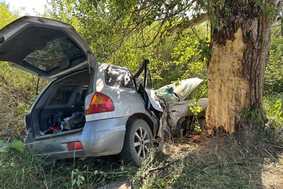 Машина на скорости врезалась в дерево. Фото: VK/Управление Госавтоинспекции Тверской области