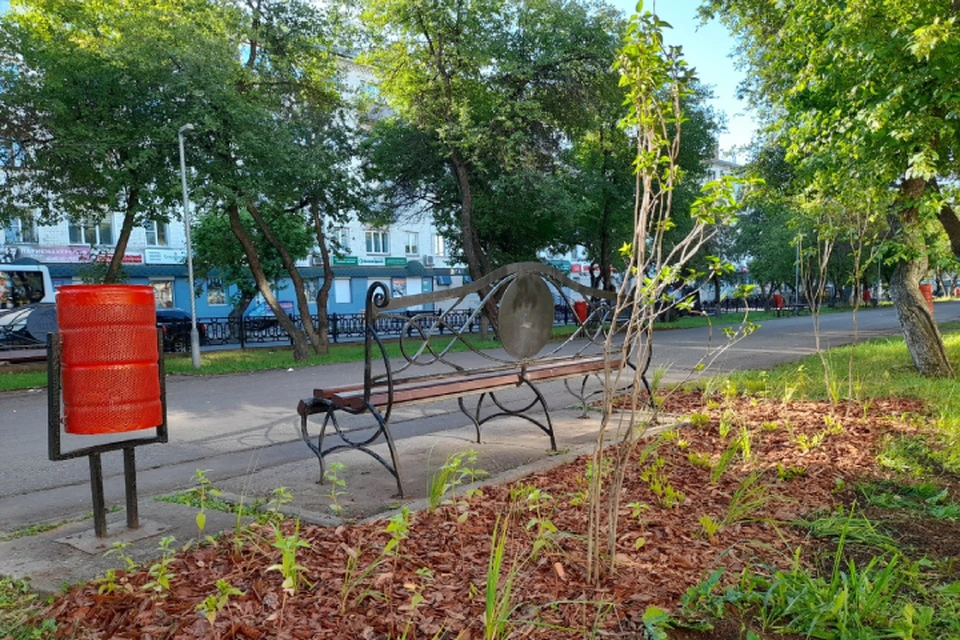 Растения и кустарники высадили на бульваре у скамеек. Фото: vk.com/public_green_kirov