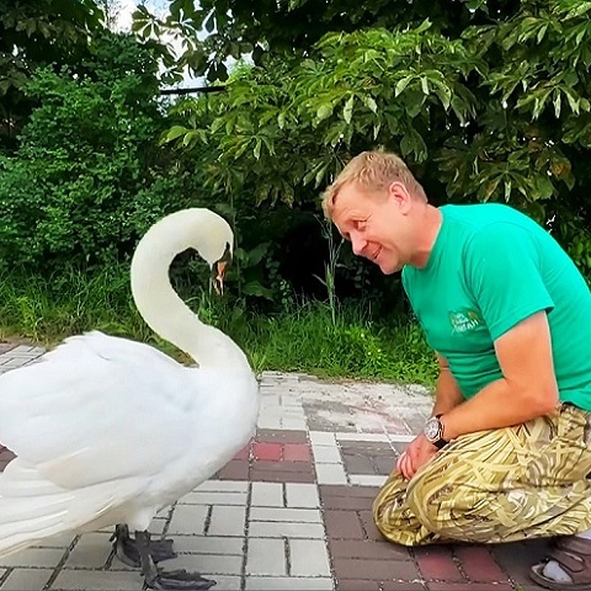 Царевна-лебедь: в «Тайгане» показали влюбленную в Олега Зубкова лебедушку -  KP.RU