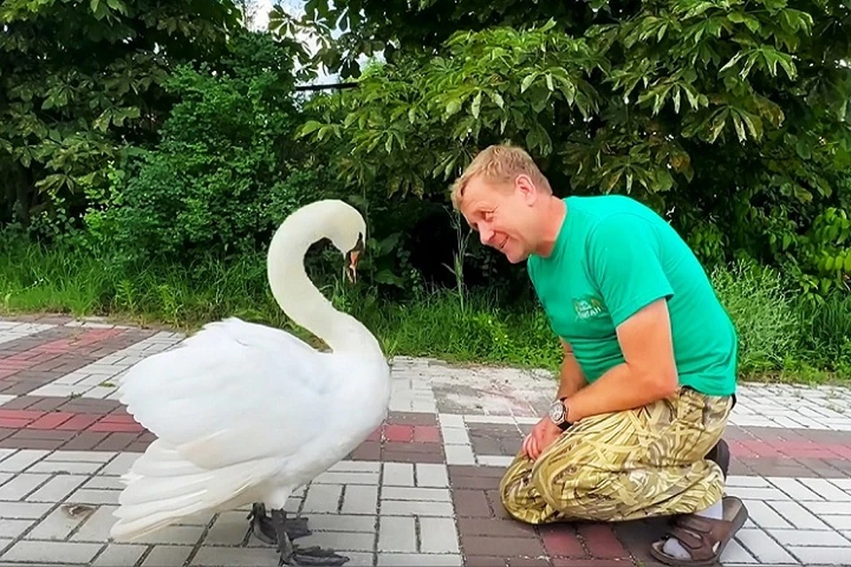 Олег Зубков и Царевна лебедь. Фото: пресс-служба "Тайгана"